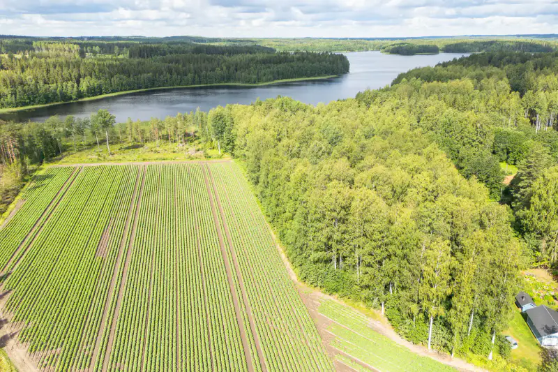 Terrain de rive, plan de rive, lac Sakara — Teväntö, Loppi — 1