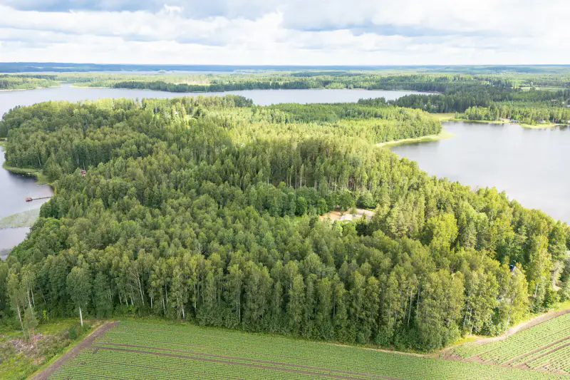 Terrain de rive, plan de rive, lac Sakara — Teväntö, Loppi — 3