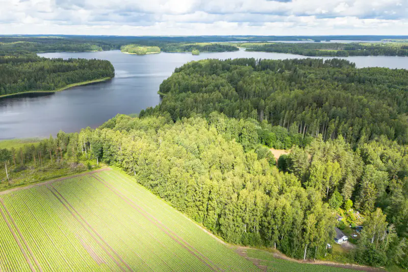 Terrain de rive, plan de rive, lac Sakara — Teväntö, Loppi — 2