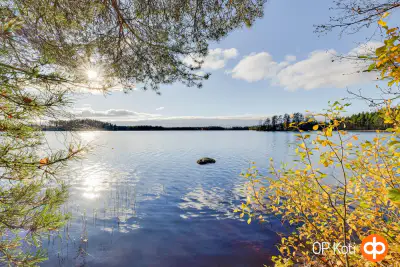Mökki ~30 m² (1972) + sauna de rive, 2 525 m² et rive ouest — Vainosenjärvi / Kannuskoski — 1