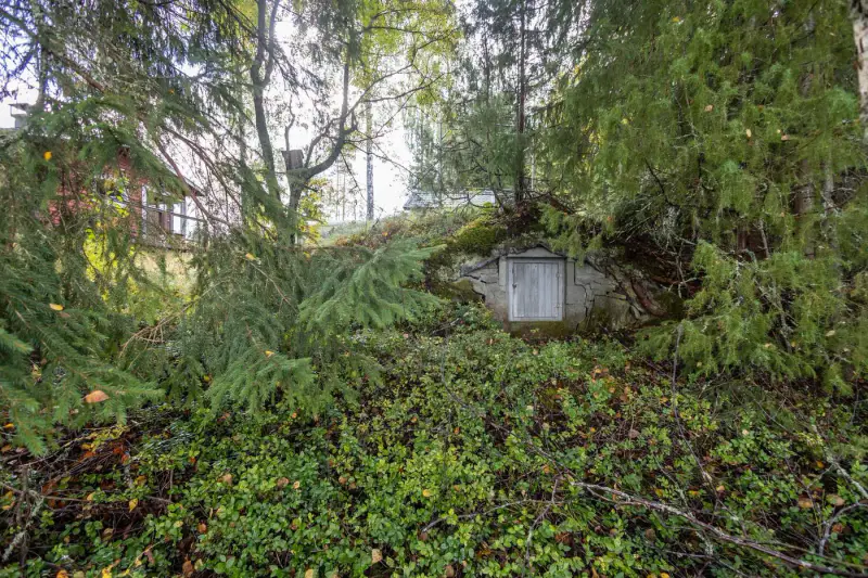 Mökki bois (1970) + sauna, 2 500 m², Salojärvi / Järvepäänlahti — Suluslahti / Mänttä-Vilppula — 18