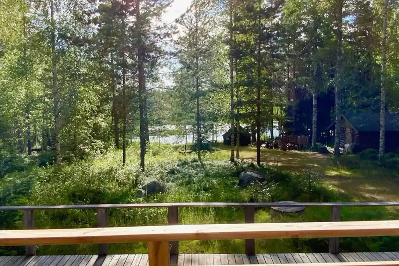 Mökki 2005 + sauna bois, rive Kaijanselkä (~70 m), 7 270 m² — Kolho / Mänttä-Vilppula — 13