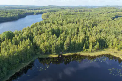 Mökki soigné ~40 m² + sauna, rive Sourlampi, 6 800 m² — Pertunmaa / Mäntyharju — 1