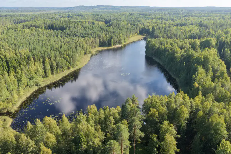 Mökki soigné ~40 m² + sauna, rive Sourlampi, 6 800 m² — Pertunmaa / Mäntyharju — 3