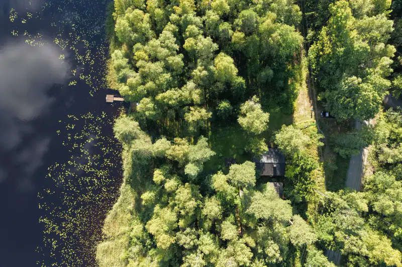 Mökki soigné ~40 m² + sauna, rive Sourlampi, 6 800 m² — Pertunmaa / Mäntyharju — 6