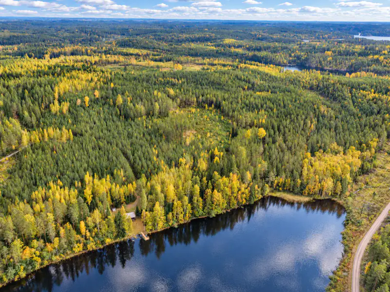 Mökki en rondins ~35 m² (1976) + sauna, 3 950 m² en zone RA (290 m² constructibles) et rive privée sur le Kallavesi — Mäntyharju — 1