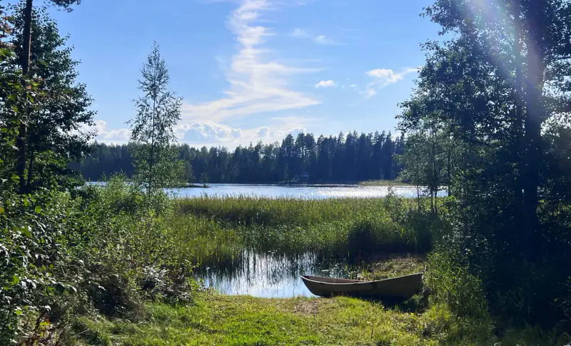 Mökki bois 45 m² (1951) + savusauna, Hietajärvi, ~4,8 ha — Pertunmaa / Mäntyharju — 15