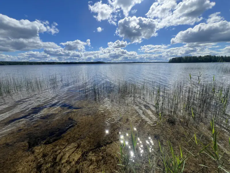 Mökki ~28 m² (1967) + puusauna, Peruvesi, 6 450 m² — Pertunmaa / Mäntyharju — 17