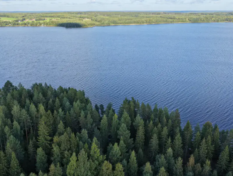 Mökki ~28 m² (1967) + puusauna, Peruvesi, 6 450 m² — Pertunmaa / Mäntyharju — 6