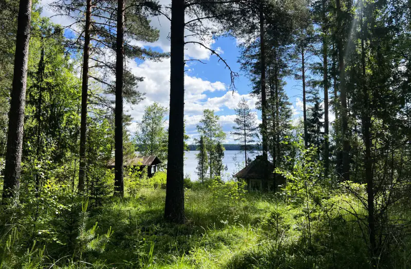 Mökki ~28 m² (1967) + puusauna, Peruvesi, 6 450 m² — Pertunmaa / Mäntyharju — 7