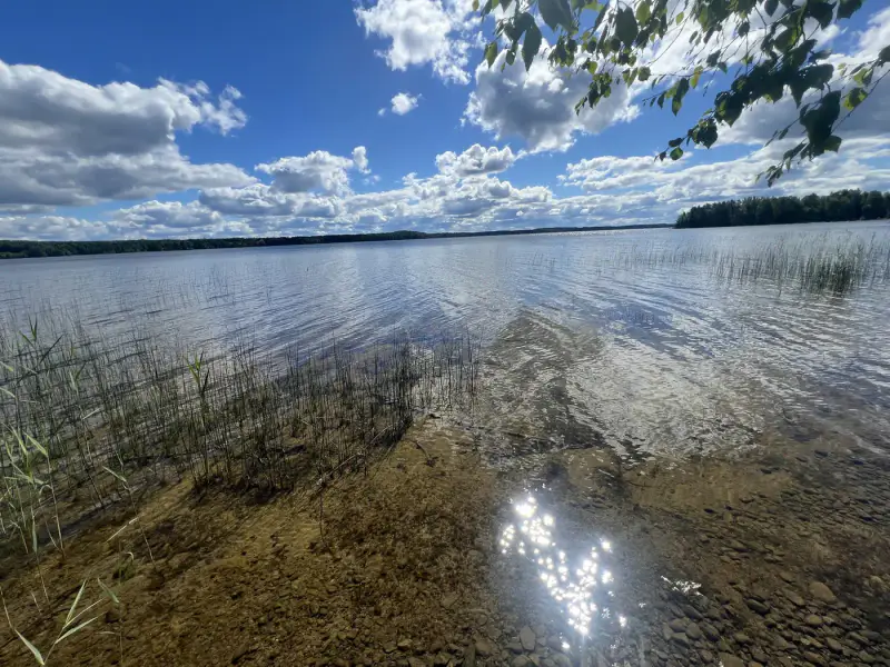 Mökki ~28 m² (1967) + puusauna, Peruvesi, 6 450 m² — Pertunmaa / Mäntyharju — 16