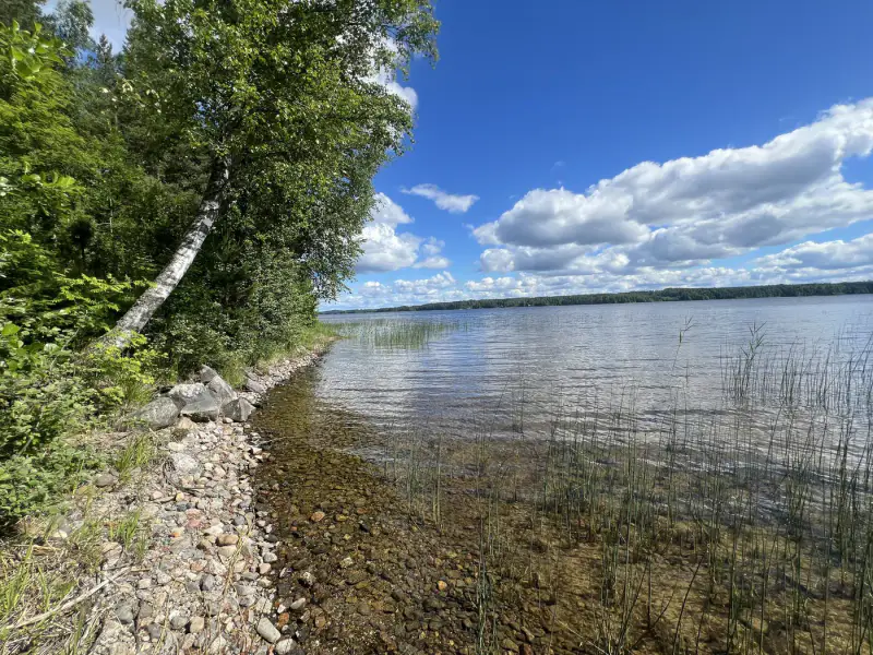 Mökki ~28 m² (1967) + puusauna, Peruvesi, 6 450 m² — Pertunmaa / Mäntyharju — 18