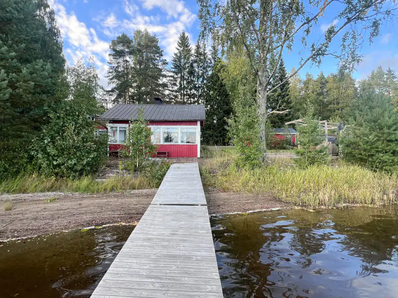 Mökki ~110 m² + 2 rantasaunas, rive sable Pyhävesi, 3 015 m² — Mäntyharju — 17