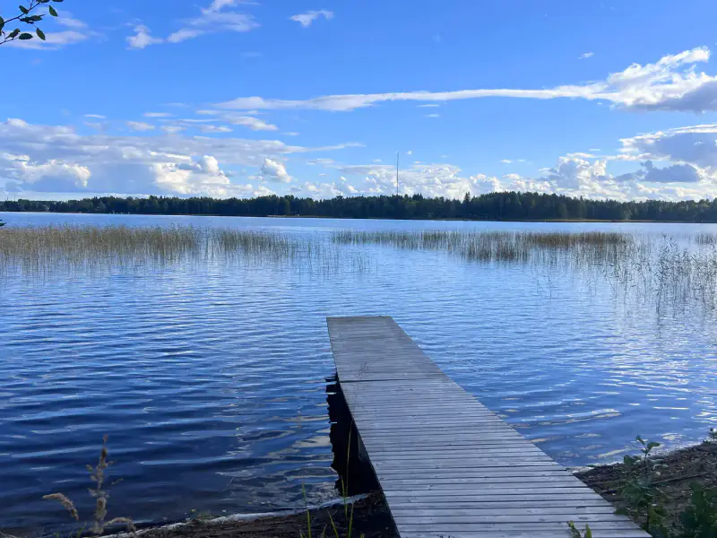 Mökki ~110 m² + 2 rantasaunas, rive sable Pyhävesi, 3 015 m² — Mäntyharju — 16