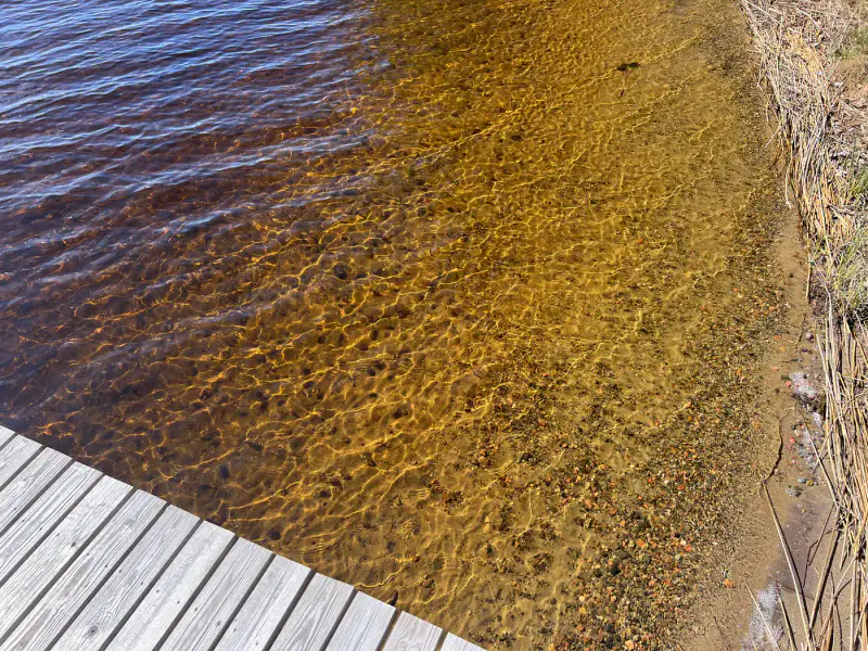 Mökki ~110 m² + 2 rantasaunas, rive sable Pyhävesi, 3 015 m² — Mäntyharju — 4