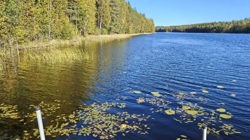Mökki ~45 m² (1973) + sauna en rondins 1998, 6 800 m² et 125 m de rive sur le Lylys — Joutsjärvi / Mäntyharju — 12