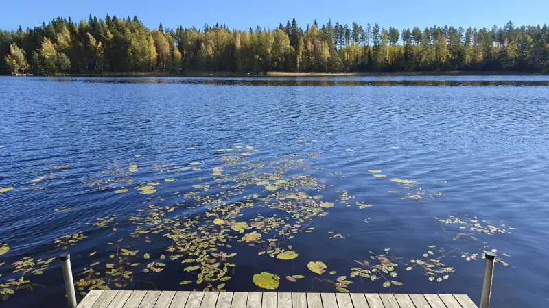 Mökki ~45 m² (1973) + sauna en rondins 1998, 6 800 m² et 125 m de rive sur le Lylys — Joutsjärvi / Mäntyharju — 11