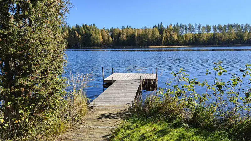 Mökki ~45 m² (1973) + sauna en rondins 1998, 6 800 m² et 125 m de rive sur le Lylys — Joutsjärvi / Mäntyharju — 10