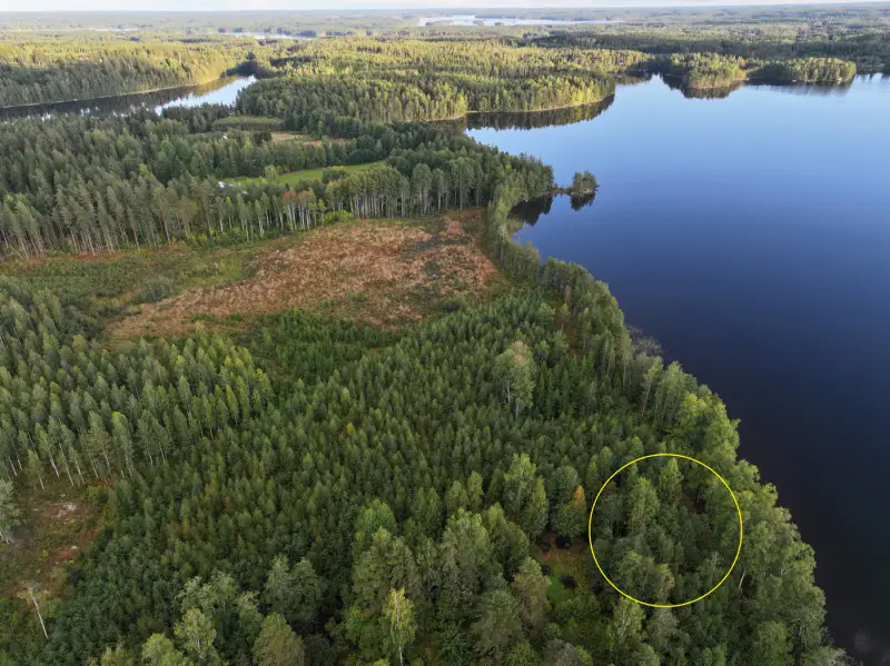 Terrain constructible ~1 ha, 296 k-m², ~85 m rive Peruvesi — Pertunmaa / Mäntyharju — 9