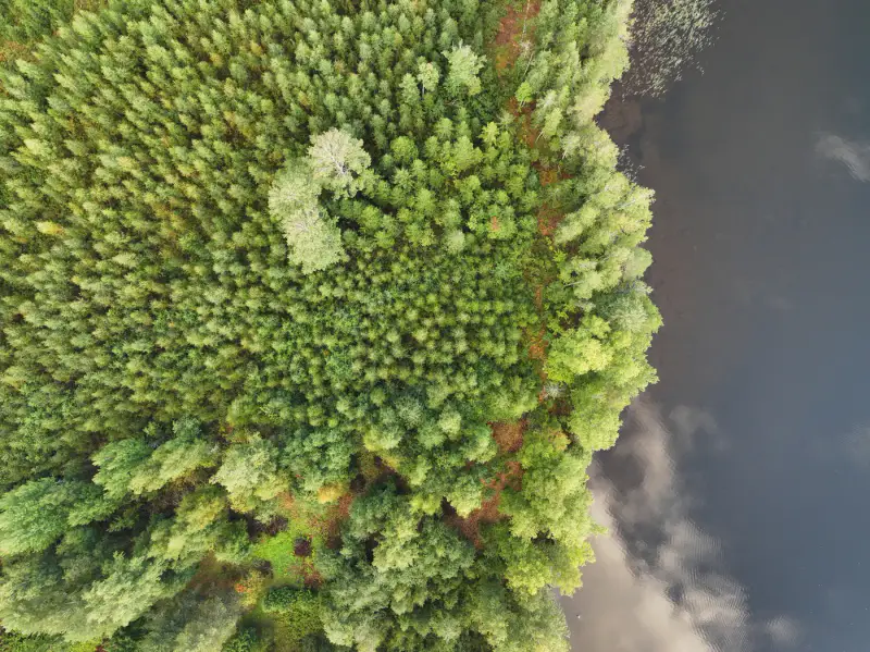 Terrain constructible ~1 ha, 296 k-m², ~85 m rive Peruvesi — Pertunmaa / Mäntyharju — 7