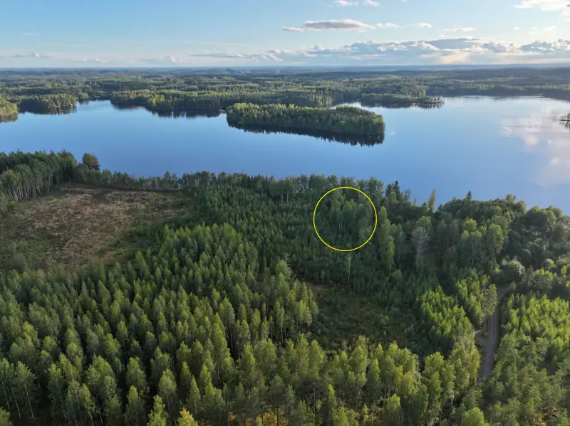 Terrain constructible ~1 ha, 296 k-m², ~85 m rive Peruvesi — Pertunmaa / Mäntyharju — 14