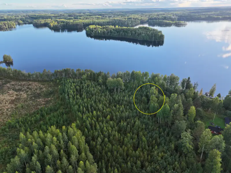 Terrain constructible ~1 ha, 296 k-m², ~85 m rive Peruvesi — Pertunmaa / Mäntyharju — 12
