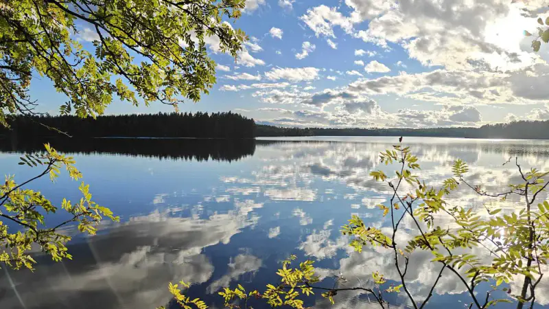 Terrain constructible ~1 ha, 296 k-m², ~85 m rive Peruvesi — Pertunmaa / Mäntyharju — 3