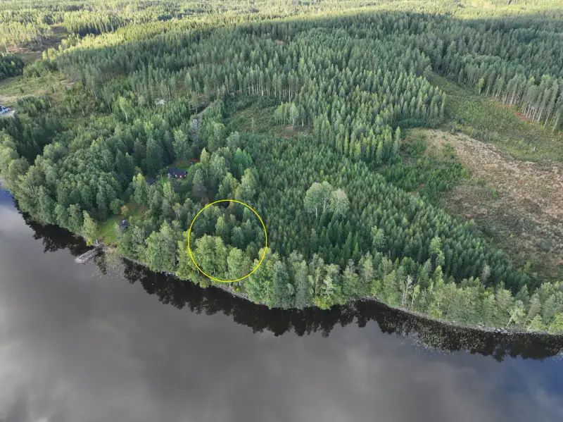 Terrain constructible ~1 ha, 296 k-m², ~85 m rive Peruvesi — Pertunmaa / Mäntyharju — 11