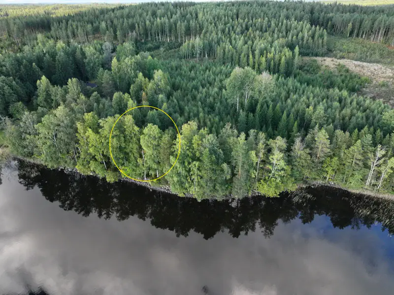 Terrain constructible ~1 ha, 296 k-m², ~85 m rive Peruvesi — Pertunmaa / Mäntyharju — 13