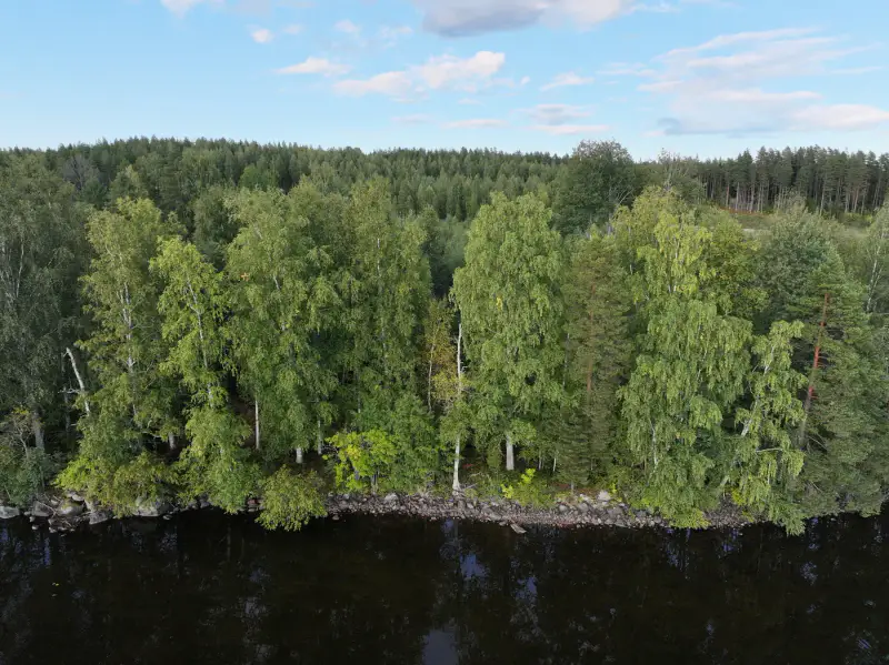 Terrain constructible ~1 ha, 296 k-m², ~85 m rive Peruvesi — Pertunmaa / Mäntyharju — 4