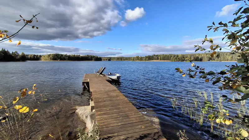 Hirsihuvila ~90 m² (1989) + sauna, 3 850 m², Kuolimo (île) — Suomenniemi / Mikkeli — 3