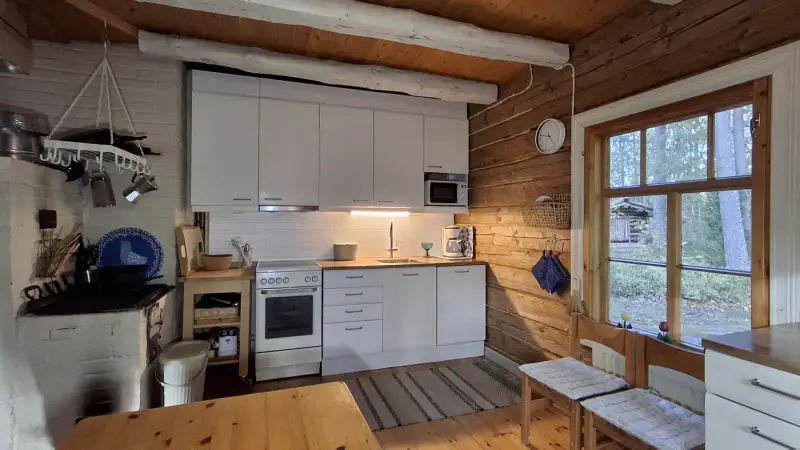 Hirsihuvila ~90 m² (1989) + sauna, 3 850 m², Kuolimo (île) — Suomenniemi / Mikkeli — 8