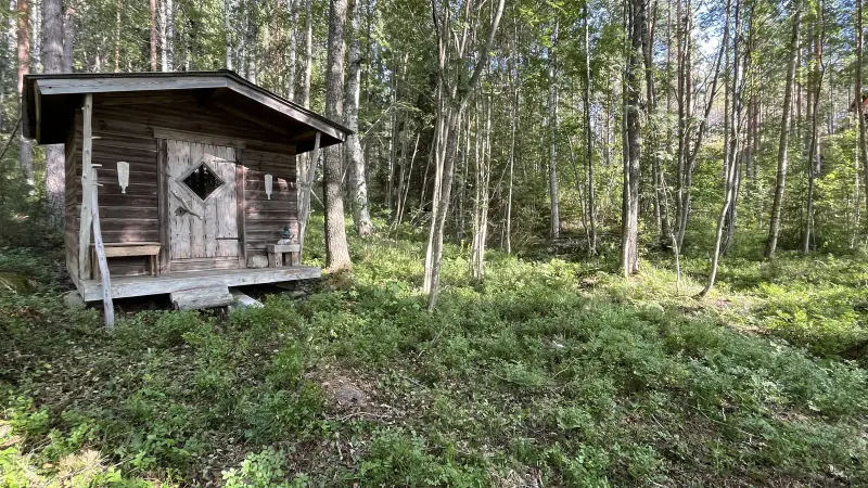 Sauna-chalet 1977, 25 m², rive privée, 2 020 m² — Paajalansaari, Anttola (Mikkeli) — 5