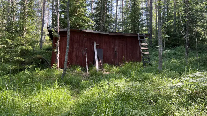 Sauna-chalet 1977, 25 m², rive privée, 2 020 m² — Paajalansaari, Anttola (Mikkeli) — 3