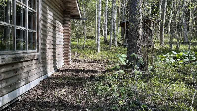 Sauna-chalet 1977, 25 m², rive privée, 2 020 m² — Paajalansaari, Anttola (Mikkeli) — 8