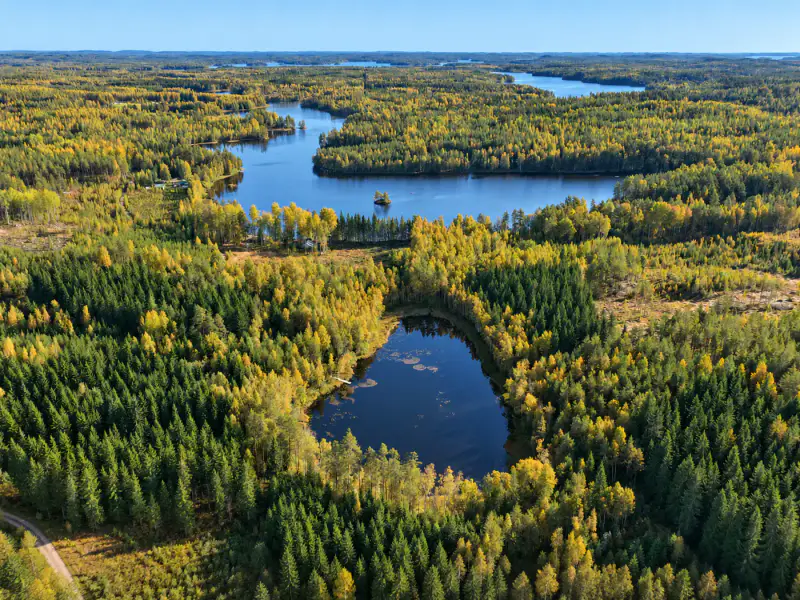 Mökki rondins ~24 m² (1988) + aitta, 8 700 m² autour du lampi Likolampi — Suomenniemi / Mikkeli — 6