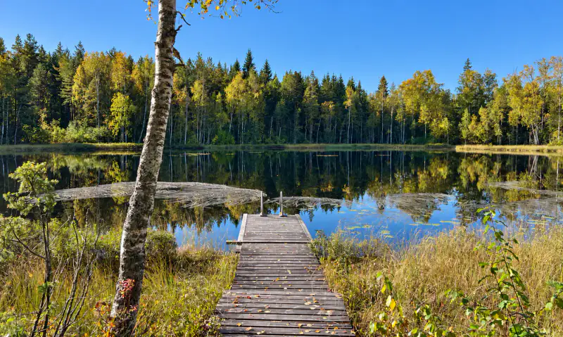 Mökki rondins ~24 m² (1988) + aitta, 8 700 m² autour du lampi Likolampi — Suomenniemi / Mikkeli — 11