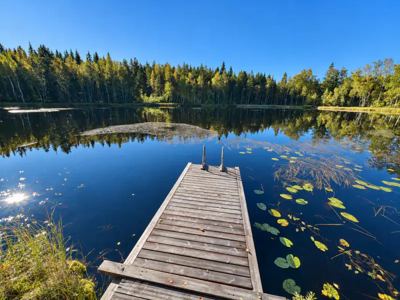 Mökki rondins ~24 m² (1988) + aitta, 8 700 m² autour du lampi Likolampi — Suomenniemi / Mikkeli — 3