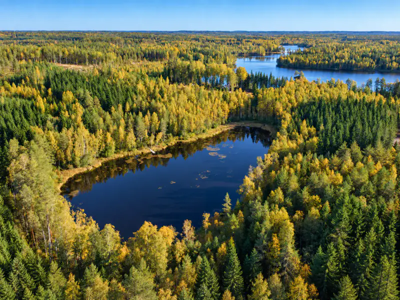 Mökki rondins ~24 m² (1988) + aitta, 8 700 m² autour du lampi Likolampi — Suomenniemi / Mikkeli — 2