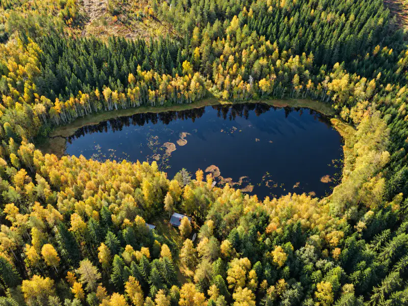 Mökki rondins ~24 m² (1988) + aitta, 8 700 m² autour du lampi Likolampi — Suomenniemi / Mikkeli — 4