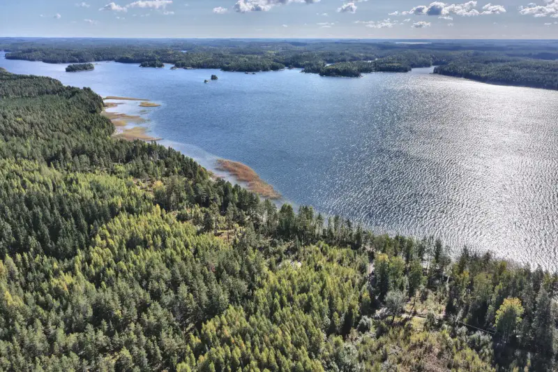 Mökki ~20–25 m² (1964) + rantasauna 2025, 9 150 m², plage Saimaa / Louhivesi — Mikkeli — 18