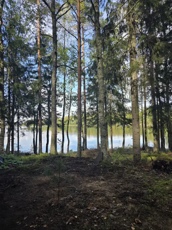 Mökki ~52 m² (1963) + sauna, 10 230 m², Kyyvesi — Haukivuori / Syväsalmi / Mikkeli — 10