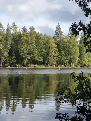 Mökki ~52 m² (1963) + sauna, 10 230 m², Kyyvesi — Haukivuori / Syväsalmi / Mikkeli — 1