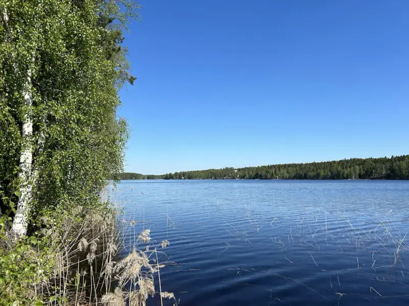 Maison ~182 m² (1989) + rantasauna 1991, 3 350 m² et rive Saimaa — Ristiina / Mikkeli — 3