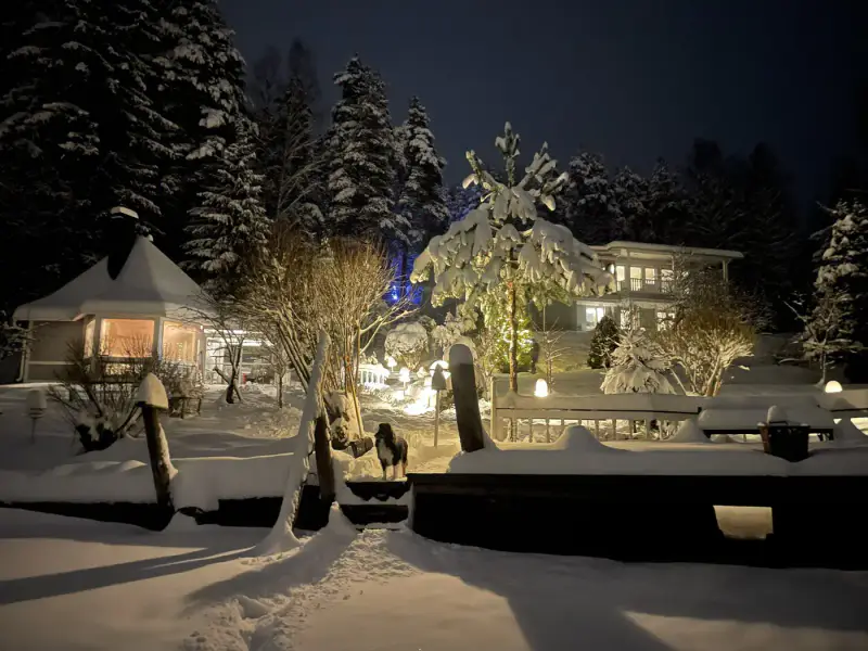 Maison ~205 m² (1993) + rantasauna ~30 m², 4 520 m² rive Saimaa (Kuivalahti) — Annilanselkä / Mikkeli — 9
