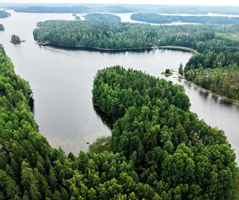 Presqu’île non bâtie 1,38 ha sur le Saimaa (Louhivesi), rive dans plusieurs directions, plan de rive 150 m² — Ristiina / Mikkeli — 3