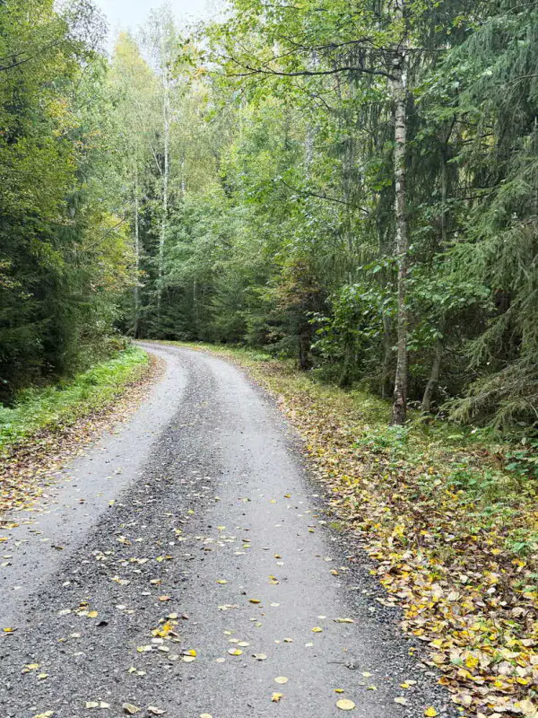 Presqu’île non bâtie 1,38 ha sur le Saimaa (Louhivesi), rive dans plusieurs directions, plan de rive 150 m² — Ristiina / Mikkeli — 7