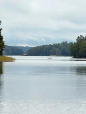 Presqu’île non bâtie 1,38 ha sur le Saimaa (Louhivesi), rive dans plusieurs directions, plan de rive 150 m² — Ristiina / Mikkeli — 1