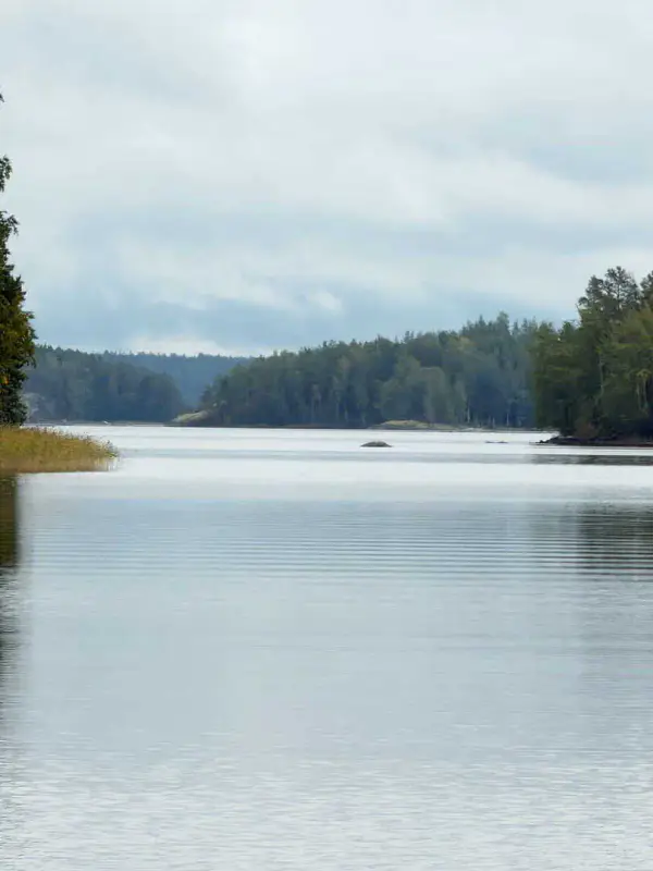 Presqu’île non bâtie 1,38 ha sur le Saimaa (Louhivesi), rive dans plusieurs directions, plan de rive 150 m² — Ristiina / Mikkeli — 1