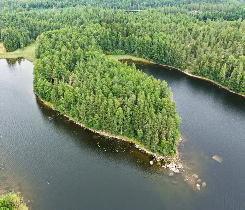 Presqu’île non bâtie 1,38 ha sur le Saimaa (Louhivesi), rive dans plusieurs directions, plan de rive 150 m² — Ristiina / Mikkeli — 4
